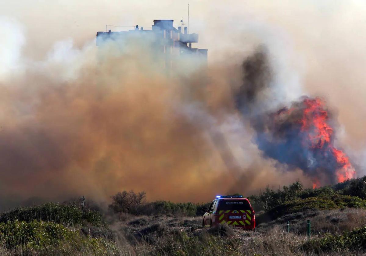 Incendio En El Saler Ltima Hora Estabilizado El Incendio En El